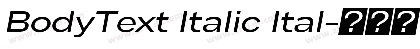 BodyText Italic Ital字体转换